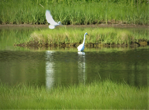 IMG_6904 (2)
