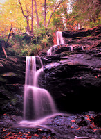 IMG_1596 (2)